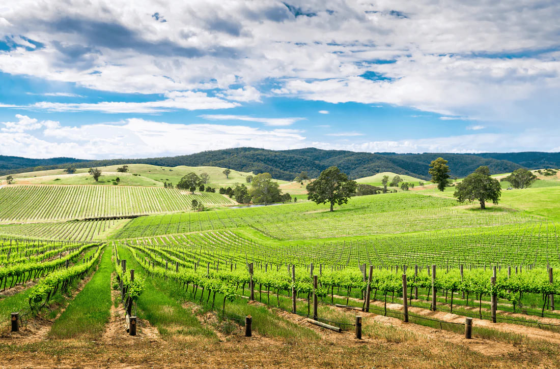 Barossa Valley