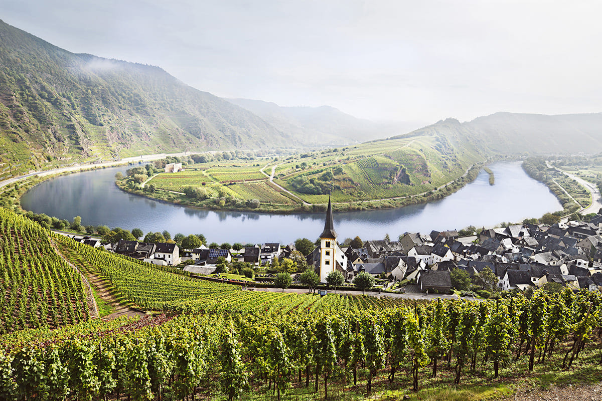 Mosel