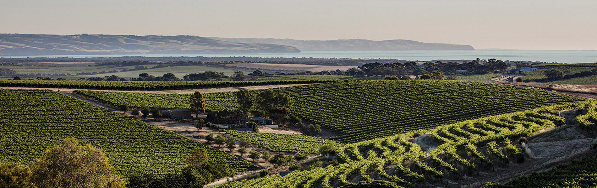 McLaren Vale