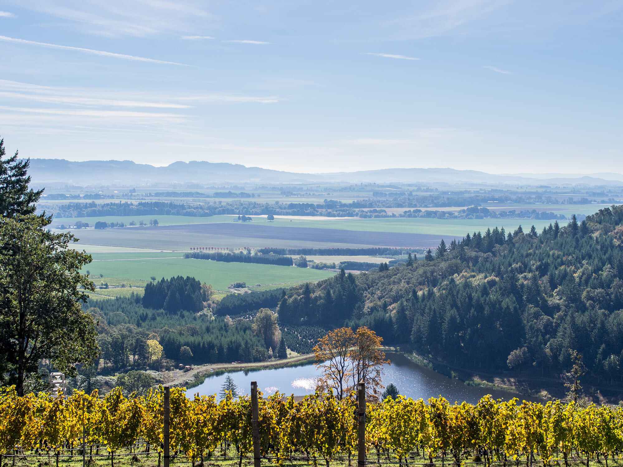 Willamette Valley