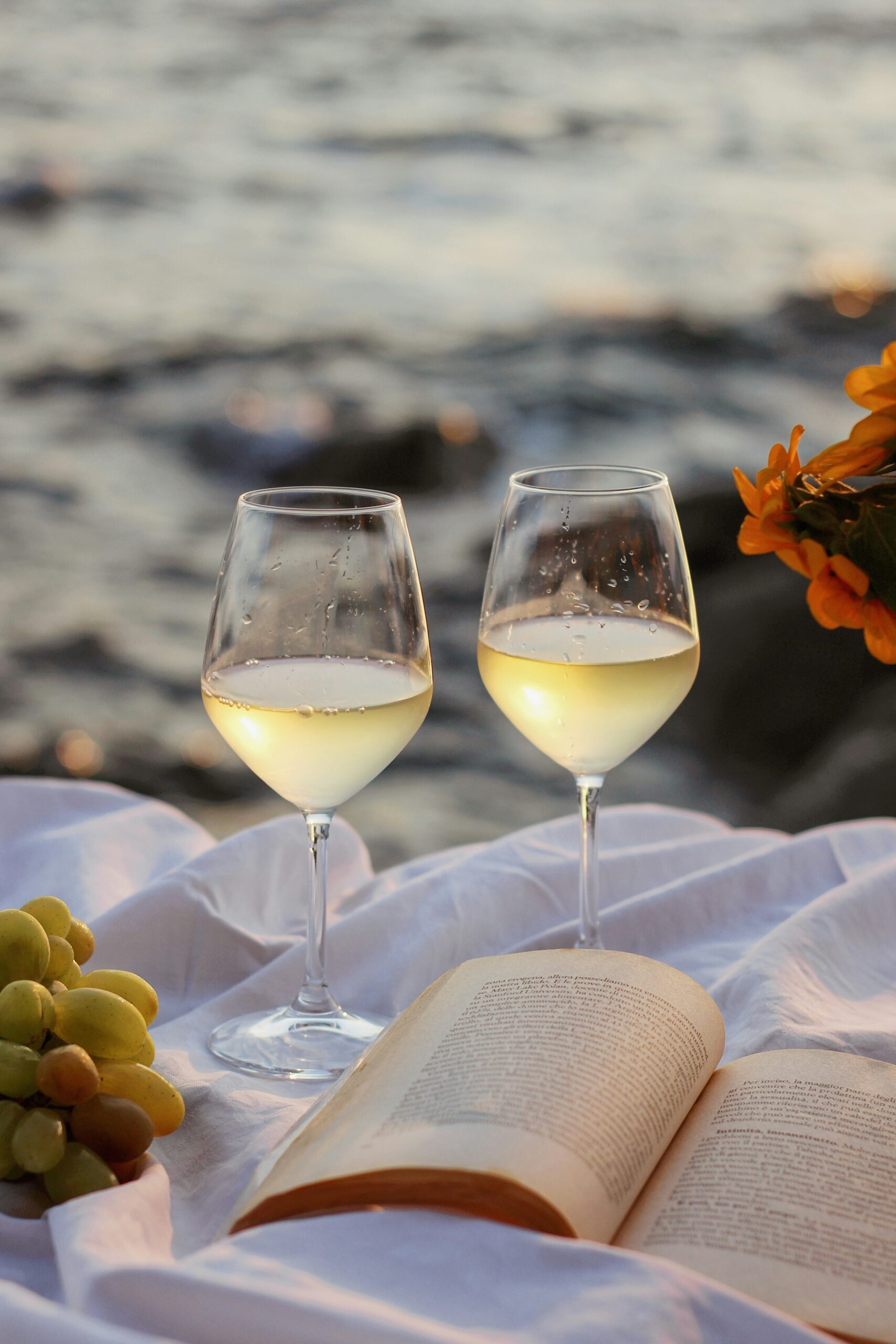 Two glasses of chilled white wine sit on a picnic blanket with an open book and green grapes by the water at sunset.