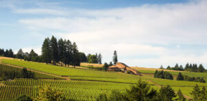 Maison Joseph Drouhin