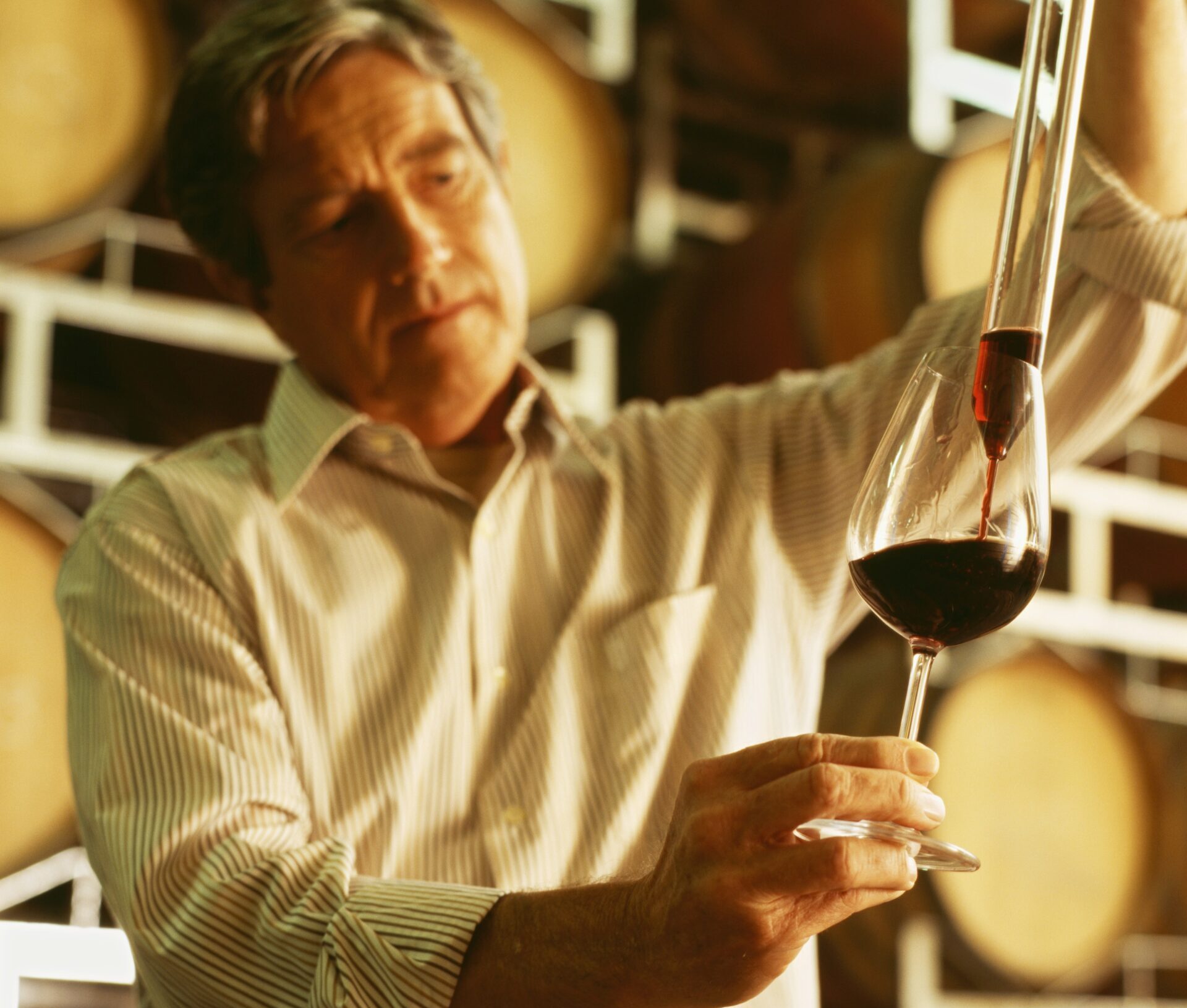 7 Brilliant Secrets You Must Know About Old Vine Wines